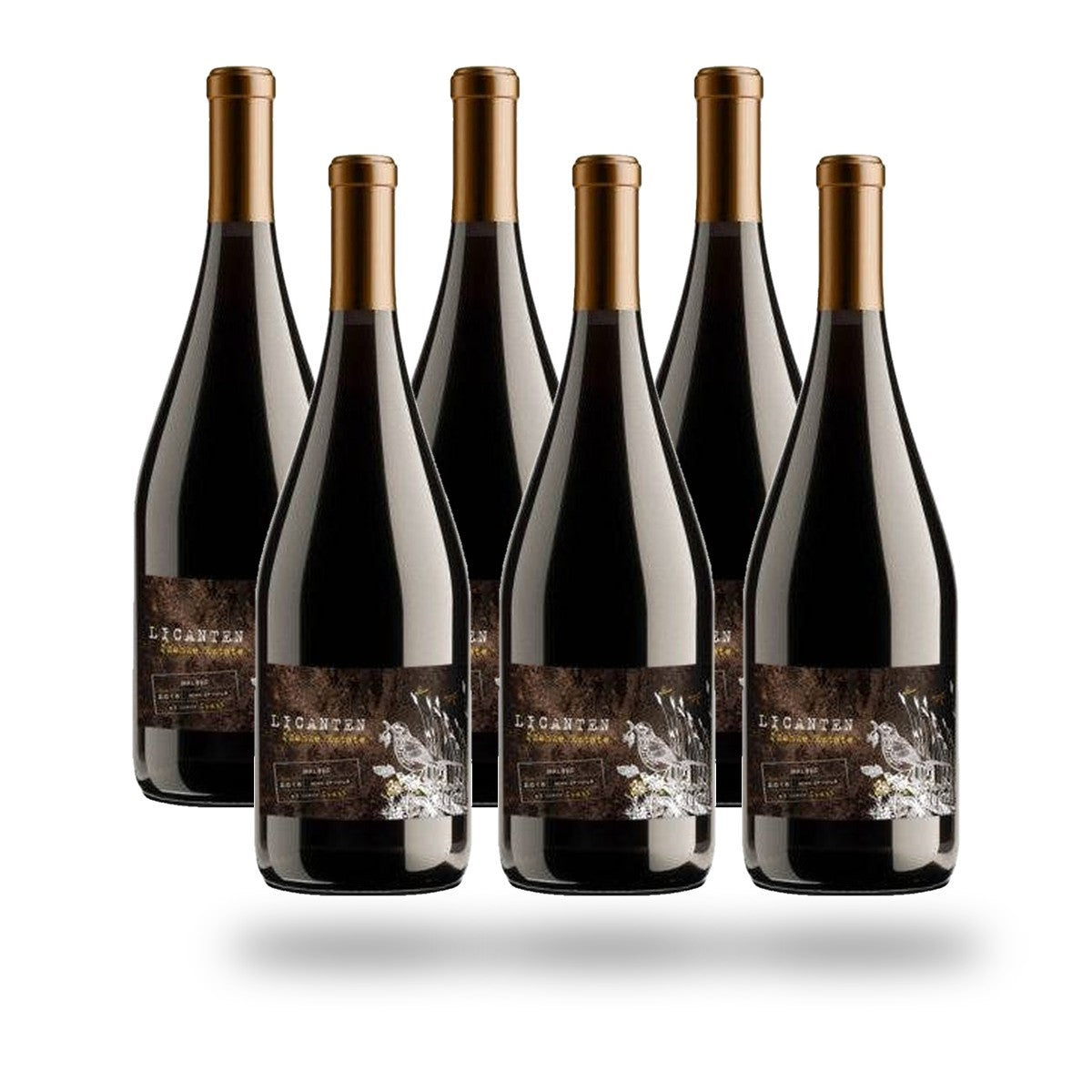 Caja 6 botellas La Roncière Licantén Malbec
