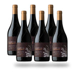 Caja 6 botellas La Roncière Licantén Syrah