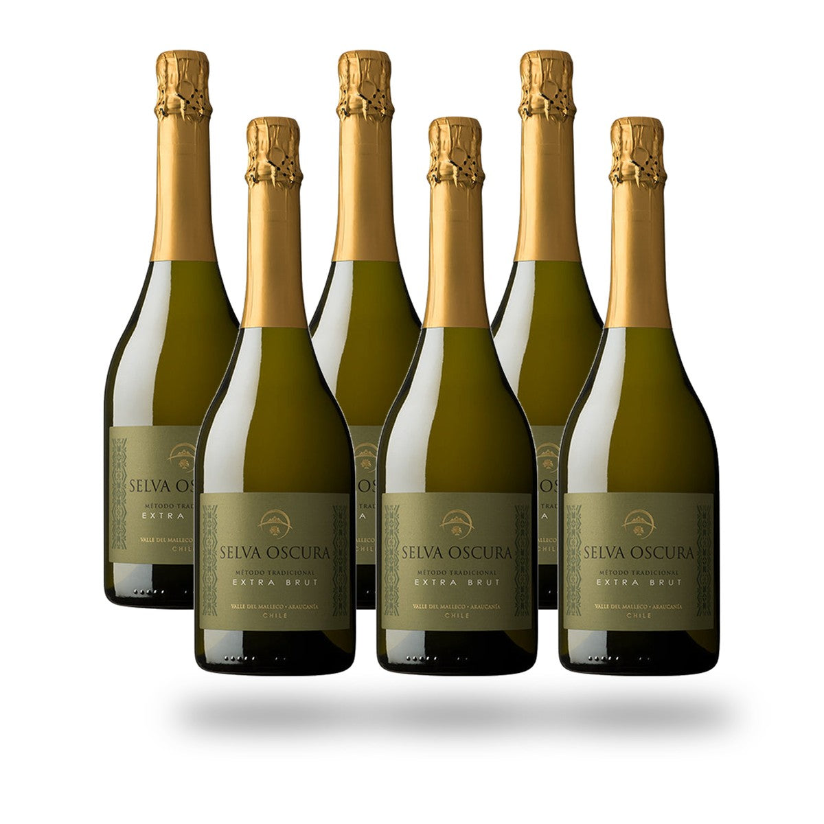 Caja 6 botellas La Roncière Selva Oscura Extra Brut