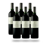 Caja 6 botellas Pessac-Léognan Château le Bruilleau 2019