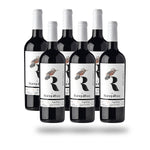 Caja 6 botellas Ranquilhue Petit Verdot 2024