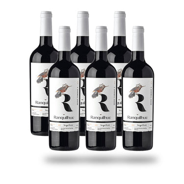 Caja 6 botellas Ranquilhue Petit Verdot 2024