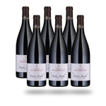 Caja 6 botellas Saint Joseph Domaine des Remizières 2023