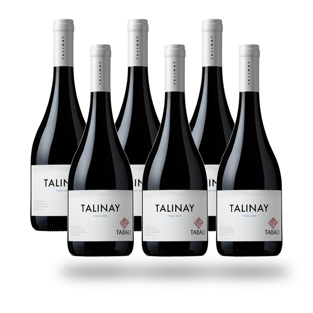 Caja 6 botellas Tabali Talinay Pinot Noir 2024