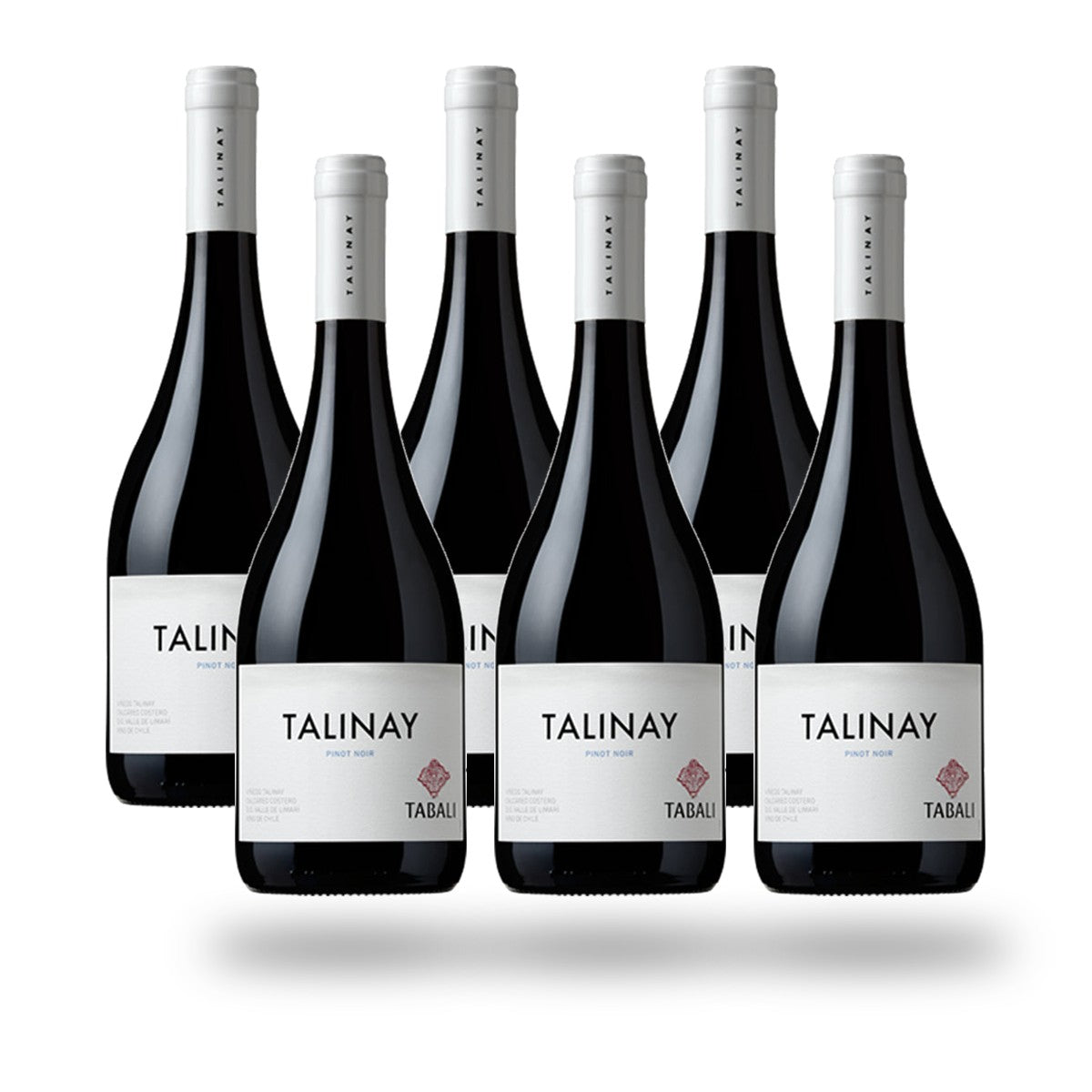 Caja 6 botellas Tabali Talinay Pinot Noir 2024