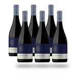 Caja 6 botellas Tintomare Mezcla Tinta 2024