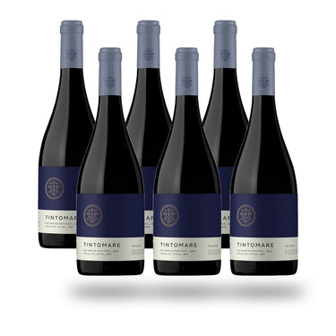 Caja 6 botellas Tintomare Mezcla Tinta 2024