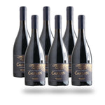 Caja 6 botellas Undurraga Cauquén Garnacha 2021
