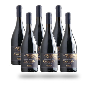 Caja 6 botellas Undurraga Cauquén Garnacha 2021