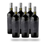 Caja 6 botellas Undurraga Extinto Carmenere 2024