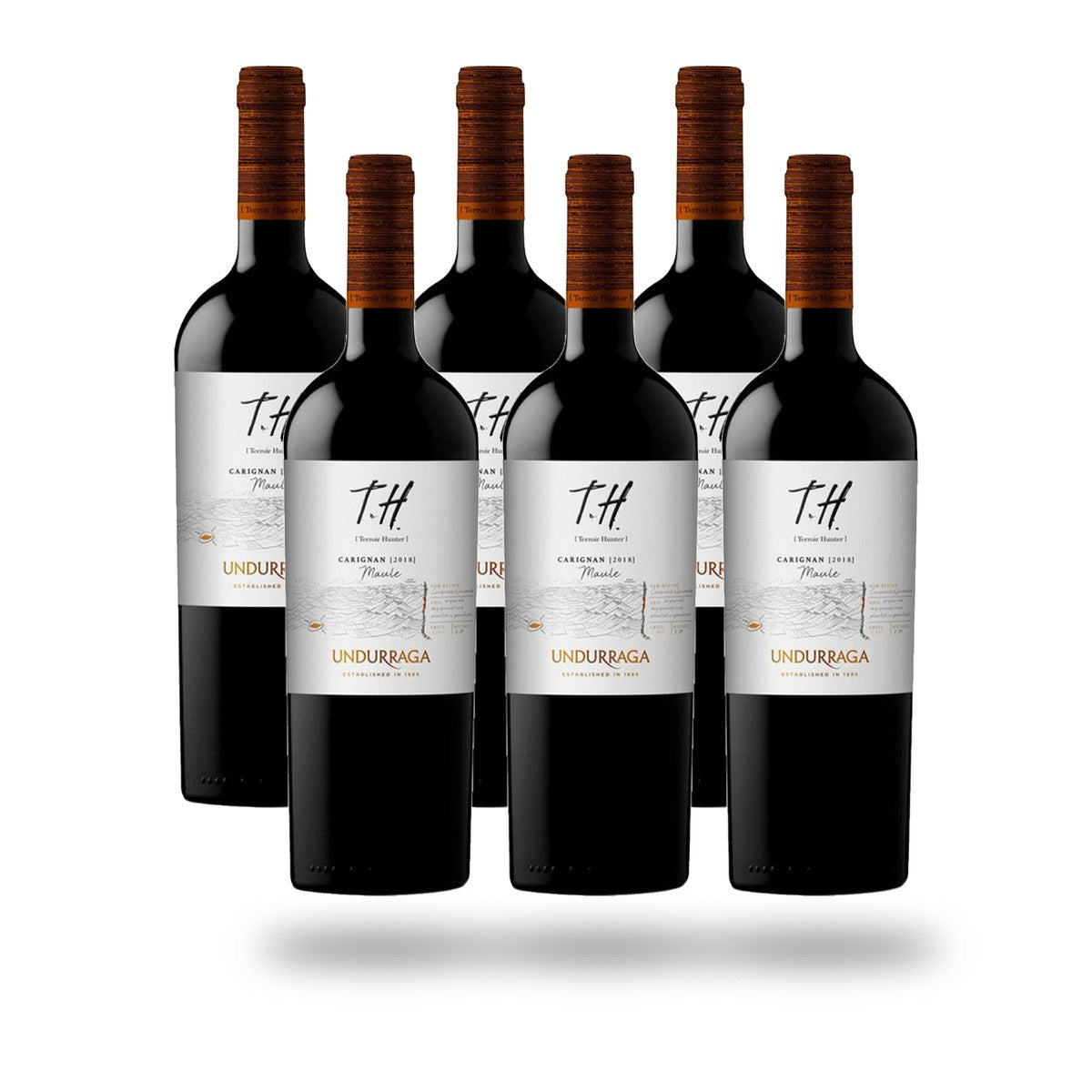 Caja 6 botellas Undurraga TH Cauquenes Carignan 2023
