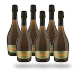Caja 6 botellas Undurraga Titillum Original