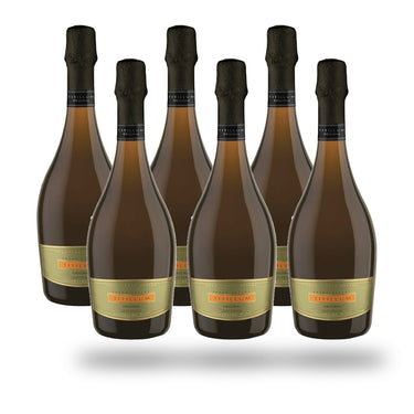 Caja 6 botellas Undurraga Titillum Original
