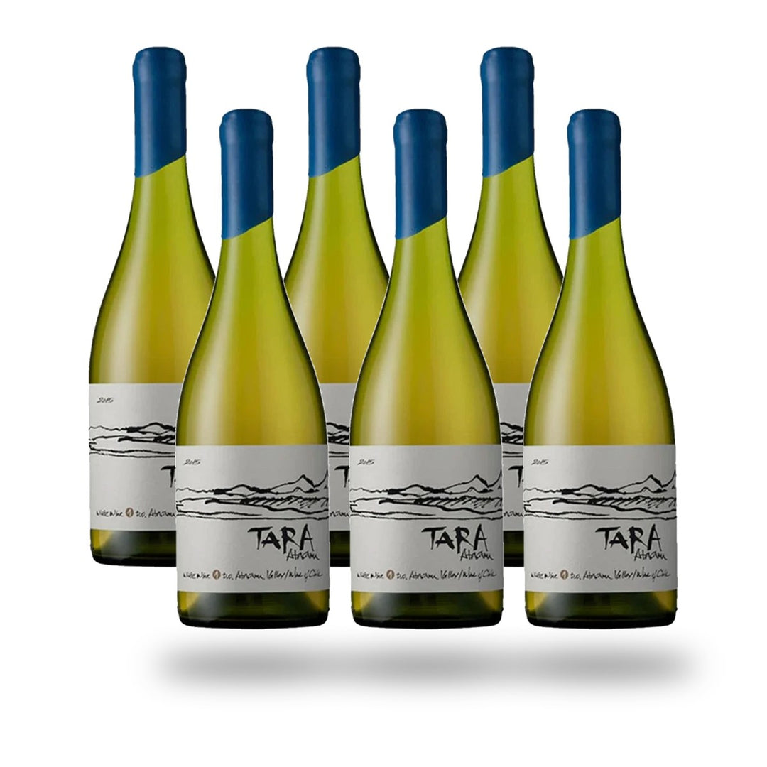 Caja 6 botellas Ventisquero Tara Atacama Chardonnay 2022