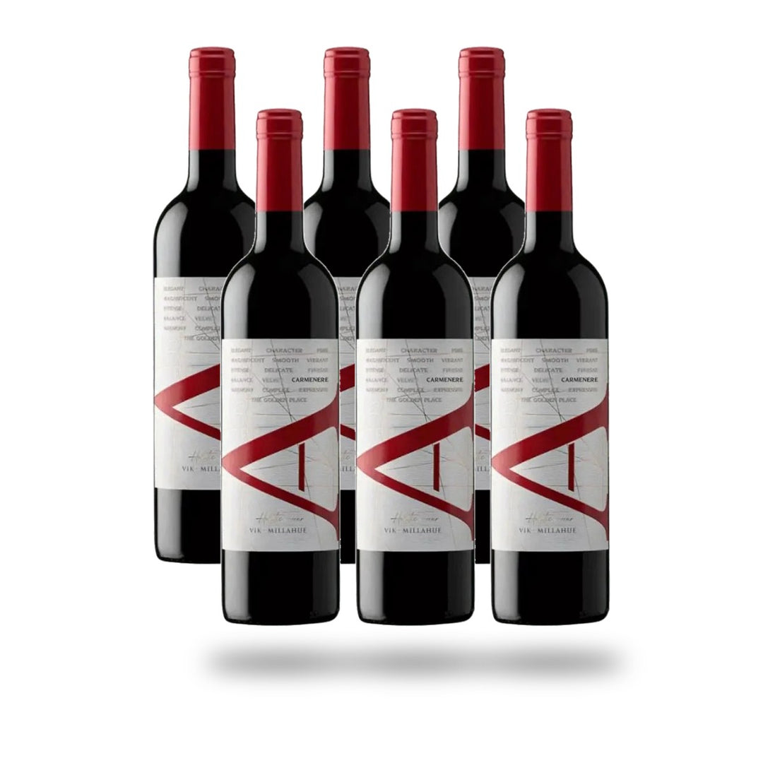 Caja 6 botellas VIK A Carmenere 2022