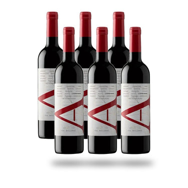 Caja 6 botellas VIK A Carmenere 2022