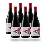 Caja 6 botellas VIK A Edition Cabernet Nouveau 2024