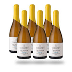 Caja 6 botellas Viña Carmen Carmen DO Quijada Semillon