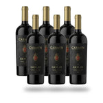 Caja 6 botellas Viña Carmen Carmen Gold Cabernet Sauvignon