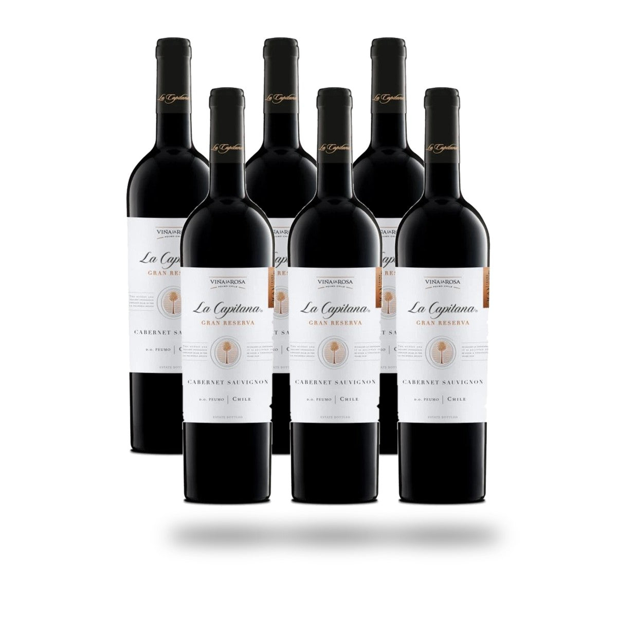 Caja 6 botellas Viña la Rosa La Capitana Cabernet Sauvignon 2022