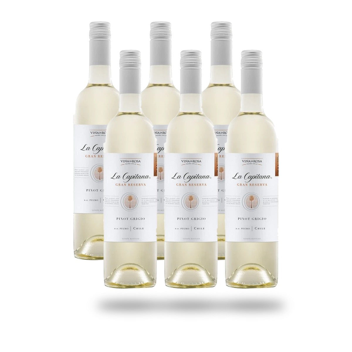 Caja 6 botellas Viña la Rosa La Capitana Pinot Grigio 2025