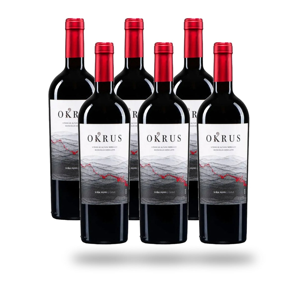Caja 6 botellas Viña Peppi Okrus 2021