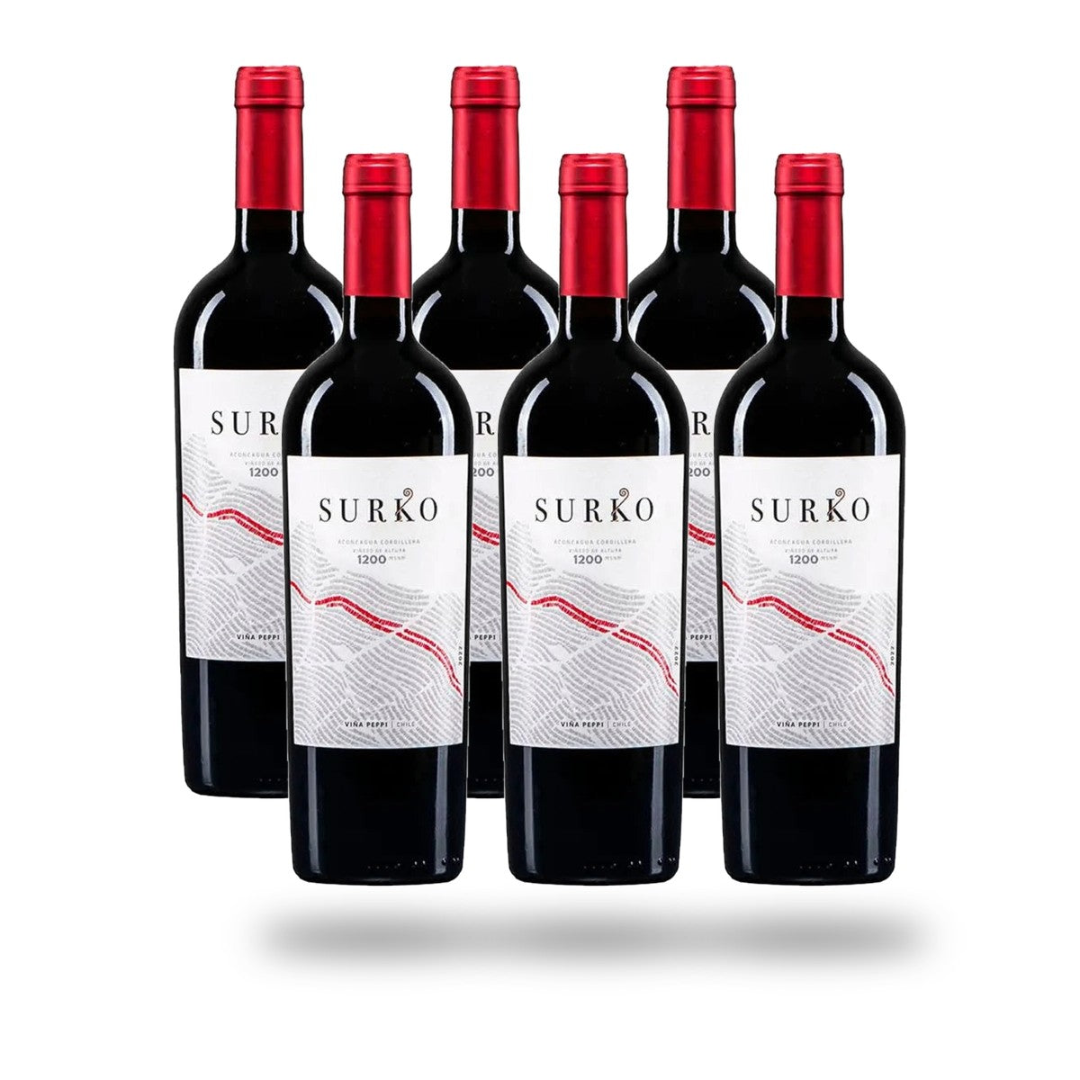 Caja 6 botellas Viña Peppi Surko 2021