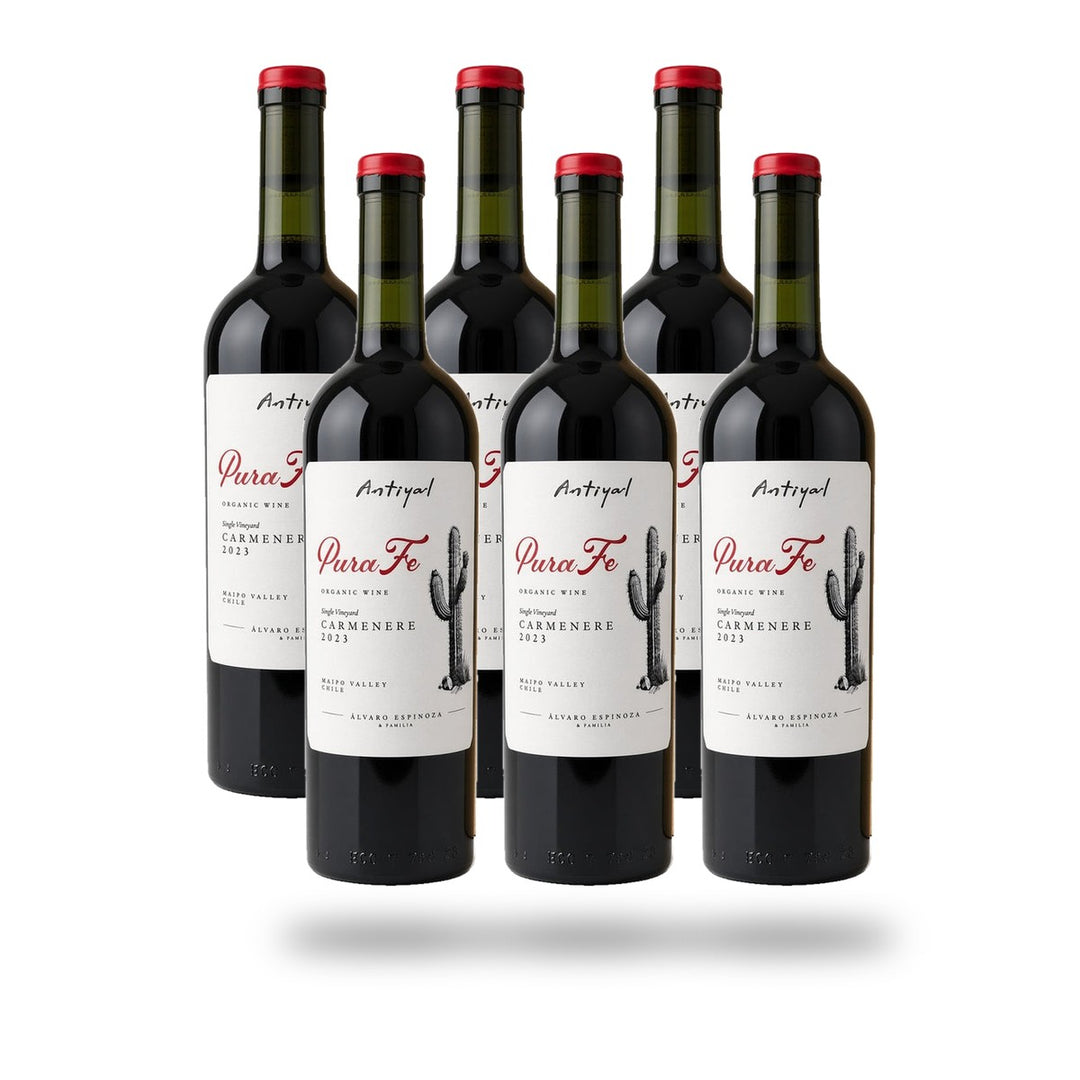 Caja 6 botellas Viñedo Escorial Pura Fé Carmenere 2024