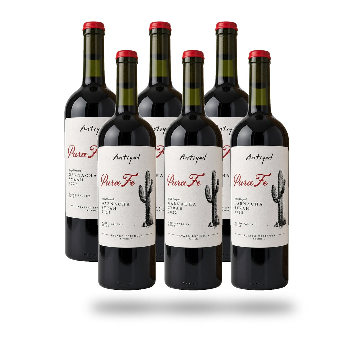 Caja 6 botellas Viñedo Escorial Pura Fé Garnacha 2023