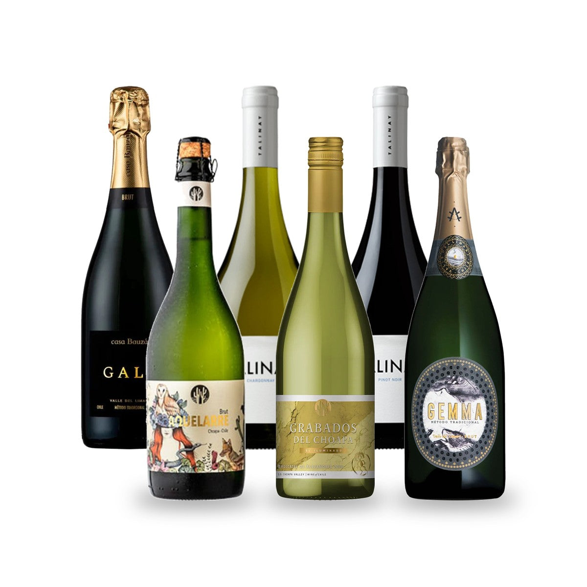 Caja de Vinos El Norte: Limarí, Choapa y Elqui - 6 botellas