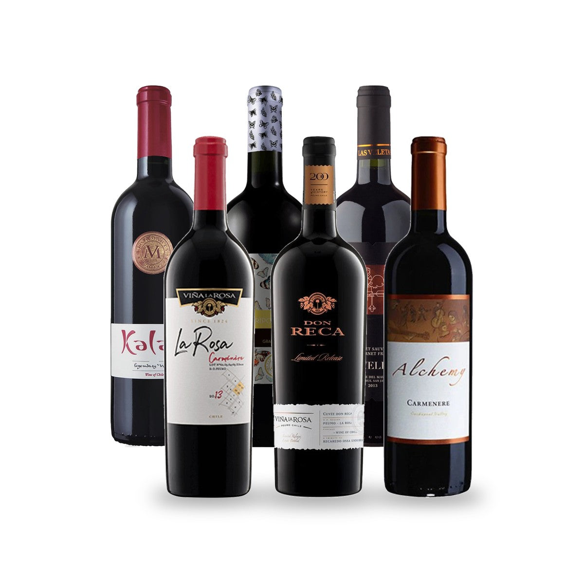 Caja de Vinos para Asado - 6 botellas