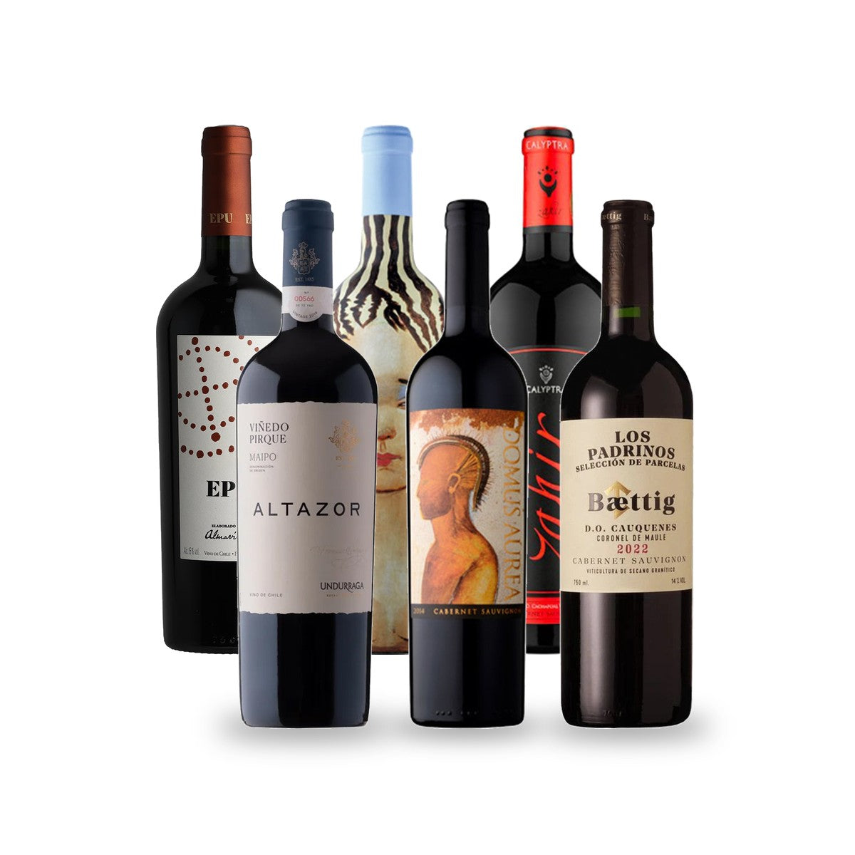 Caja de Vinos Regalo Íconos de Chile - 6 botellas