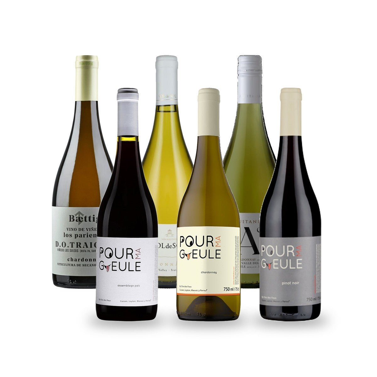 Caja de Vinos Sur Austral: Malleco - 6 botellas