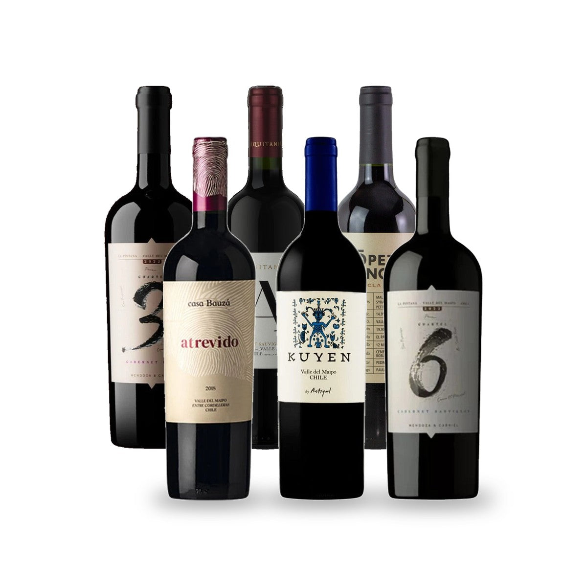 Caja de Vinos Valle del Maipo - 6 botellas
