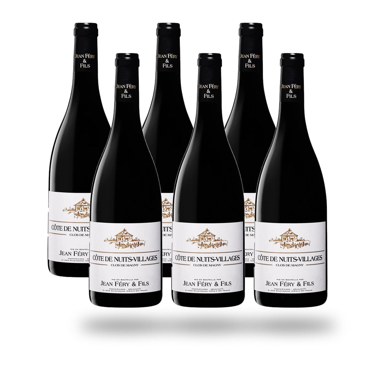 Caja x6 Côte de Nuits-Villages Domaine Féry Clos de Magny 2021