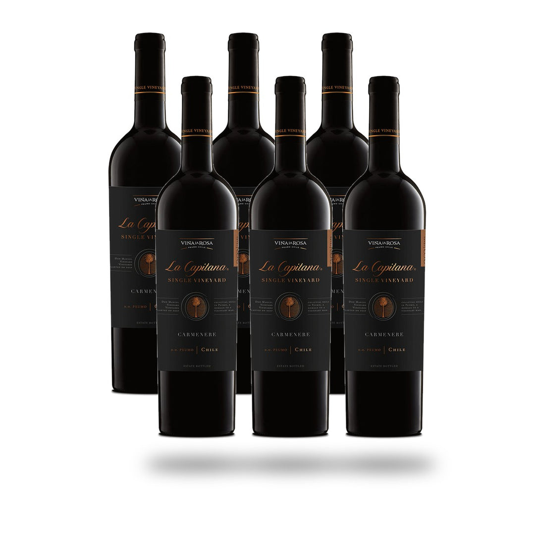 Caja x6 Viña la Rosa La Capitana Single Vineyards Carmenere 2023