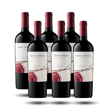 Concha y Toro - Carmin de Peumo, 2022