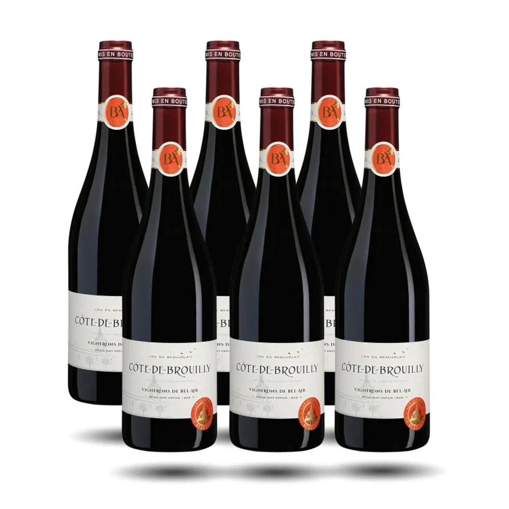 Côtes de Brouilly - Vignerons Bel-Air, 2021