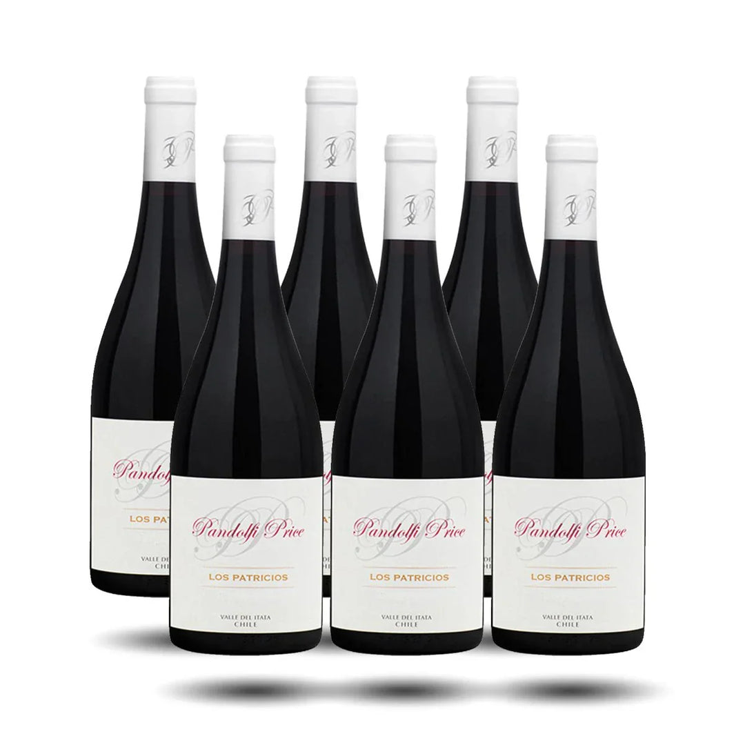 Pandolfi Price - Los Patricios, Syrah, 2021