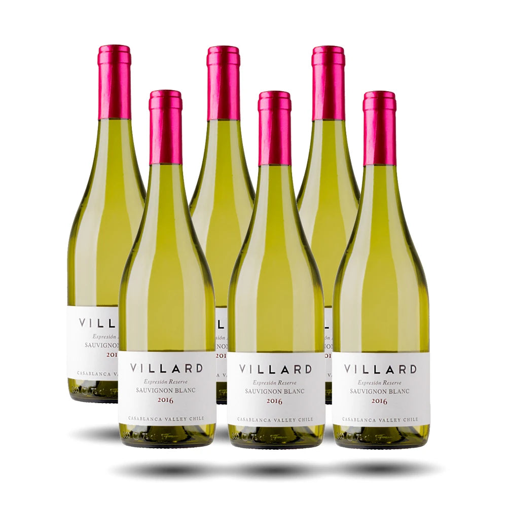 Villard - Expresion Reserve, Sauvignon Blanc, 2023
