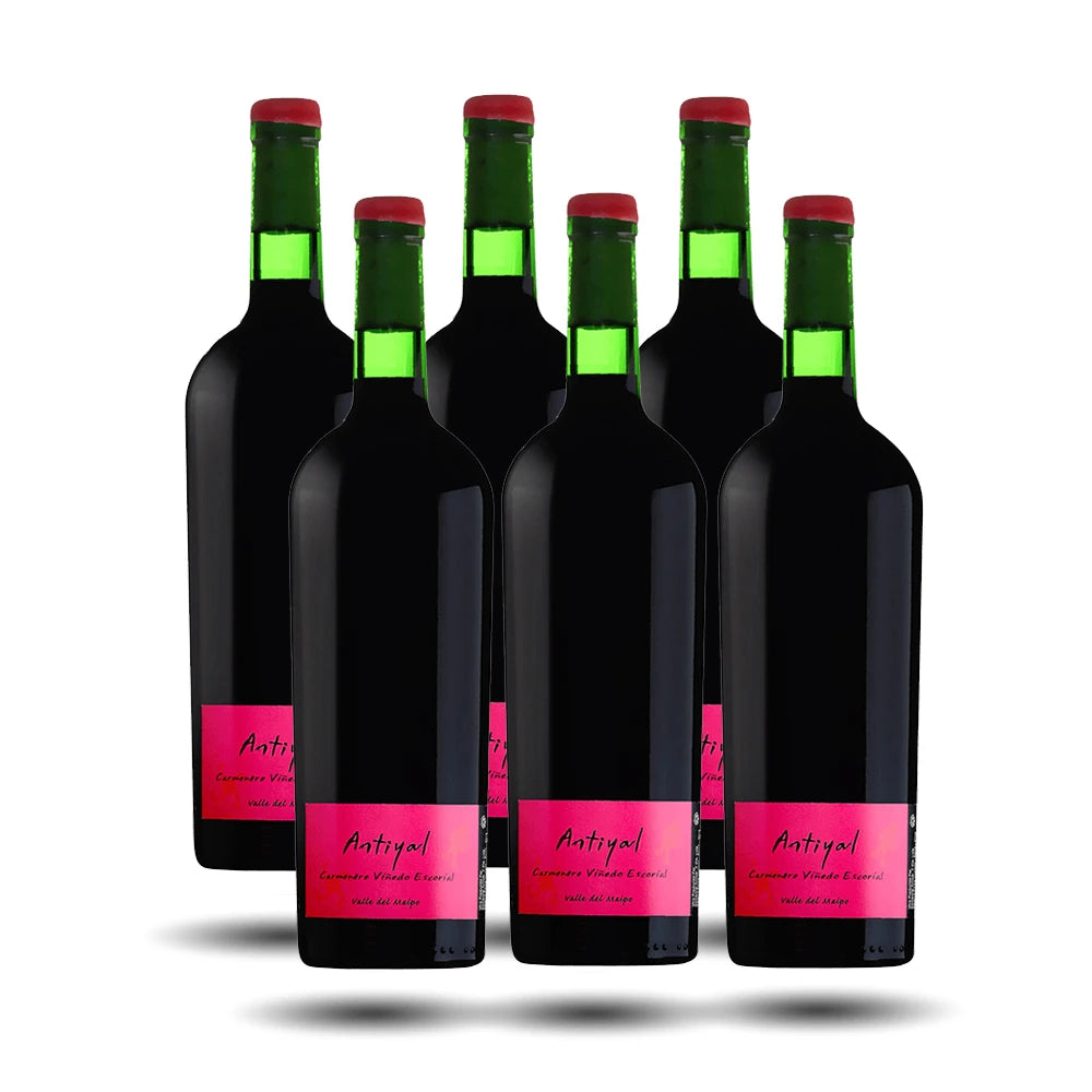 Viñedo Escorial - Antiyal, Carmenere, 2021