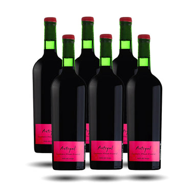 Viñedo Escorial - Antiyal, Carmenere, 2021