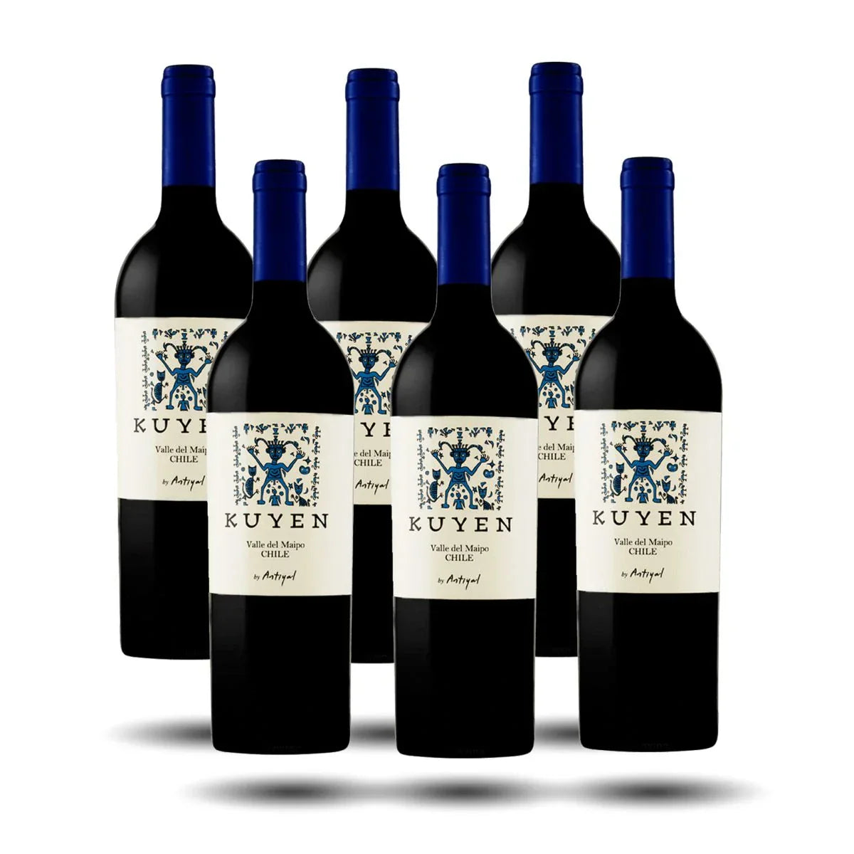 Viñedo Escorial - Antiyal, Kuyen, 2020