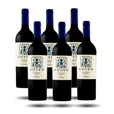 Viñedo Escorial - Antiyal, Kuyen, 2020