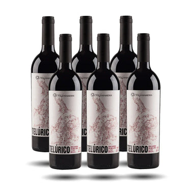 Wildmakers - Telurico, 2019